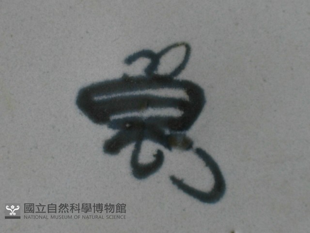 帶款飾瓷片藏品圖，第5張