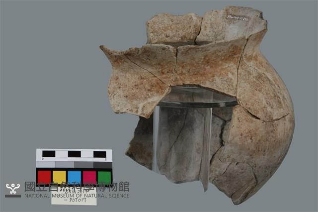 罐形器藏品圖，第4張