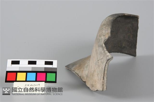 Accession Number:SKW2019-POT028 Collection Image, Figure 4, Total 4 Figures