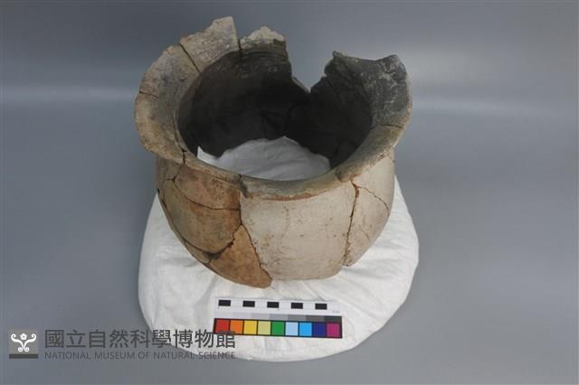 陶罐藏品圖，第4張