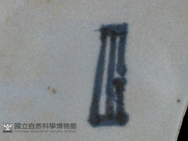 帶款飾瓷片藏品圖，第4張