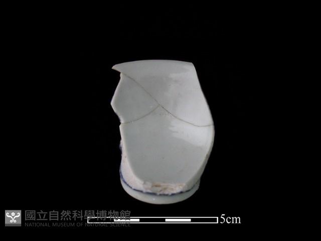 瓷杯藏品圖，第1張