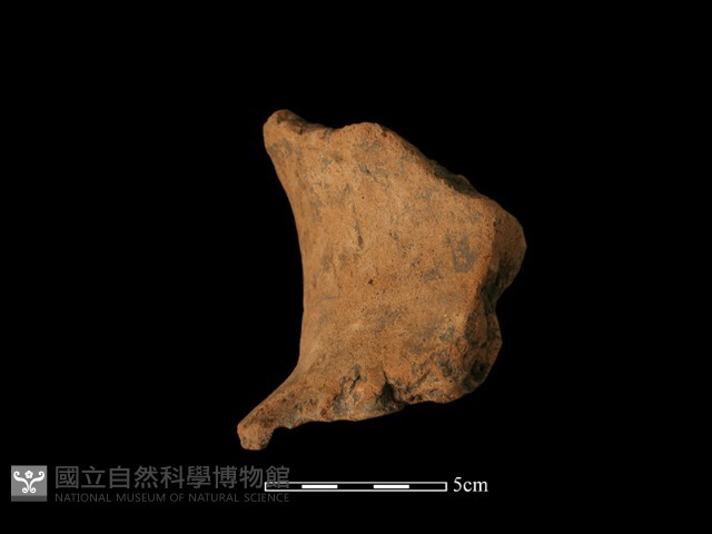 口緣殘片藏品圖，第4張