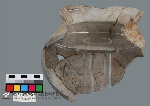 罐形器藏品圖，第3張