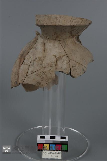 罐形器藏品圖，第3張