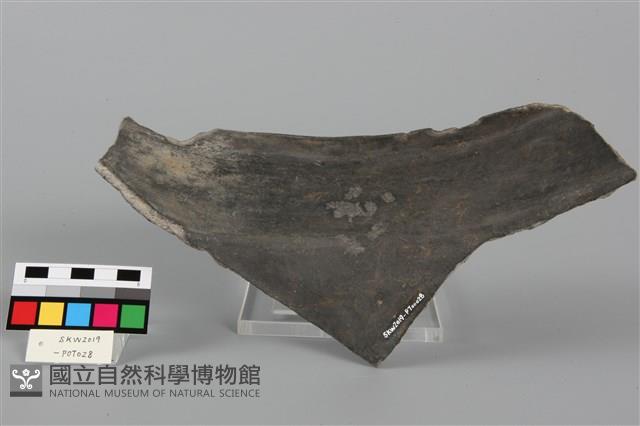 Accession Number:SKW2019-POT028 Collection Image, Figure 3, Total 4 Figures