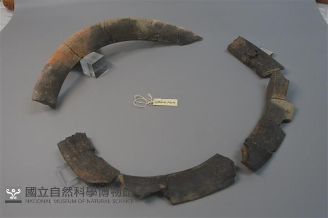 陶罐藏品圖，第3張