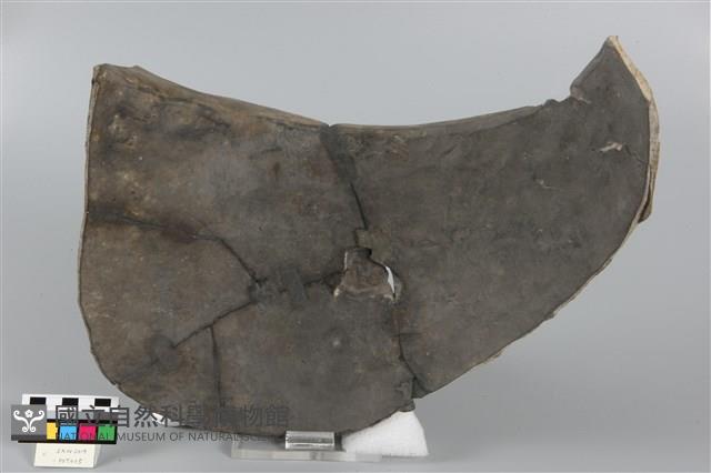 罐形器藏品圖，第3張