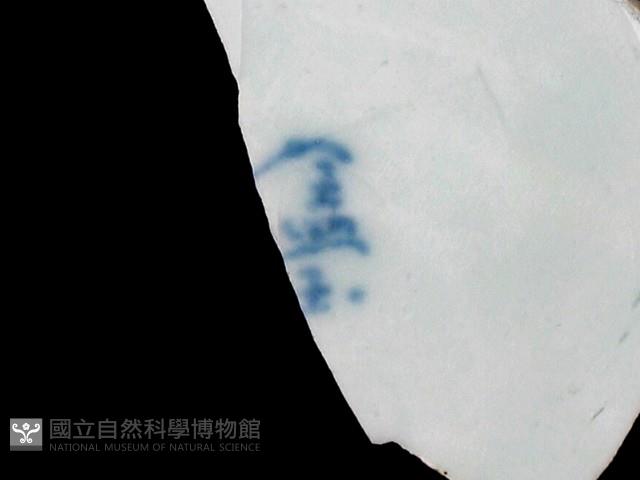 帶款飾瓷片藏品圖，第3張