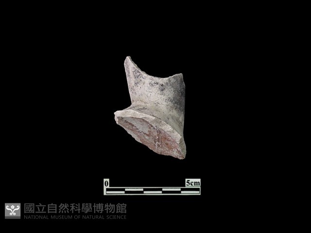 陶杯藏品圖，第1張