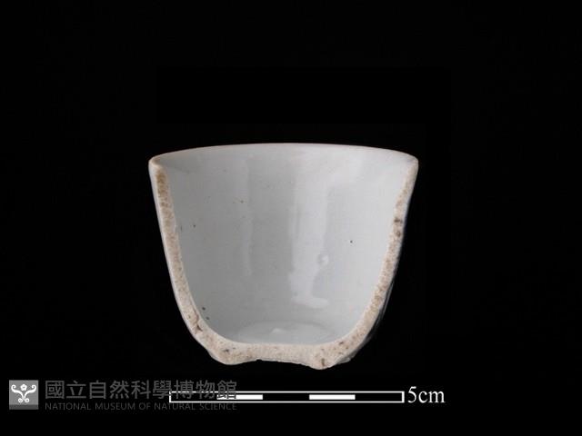 瓷杯藏品圖，第3張