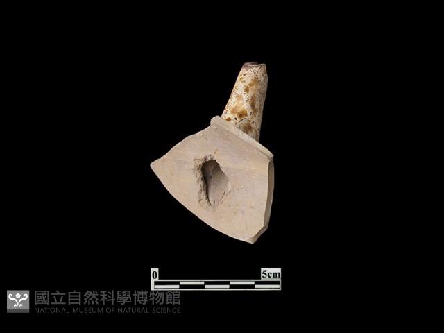 陶壺藏品圖，第3張