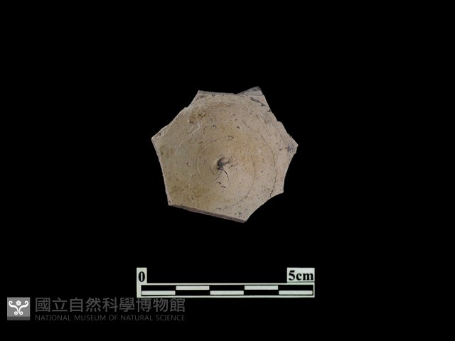 陶蓋藏品圖，第3張