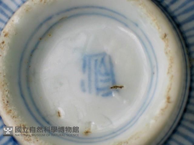 帶款飾瓷片藏品圖，第3張