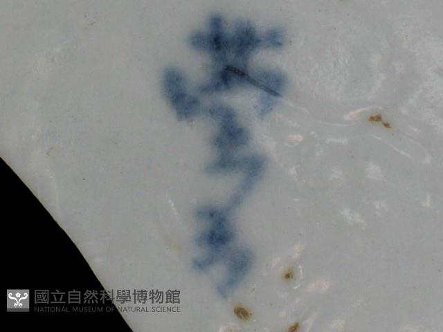 帶款飾瓷片藏品圖，第4張