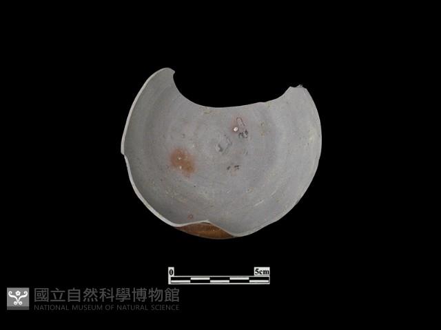 筆洗藏品圖，第1張