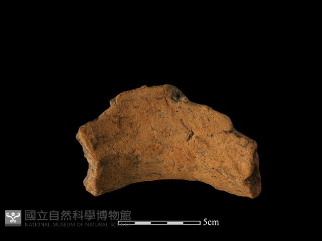 口緣殘片藏品圖，第1張