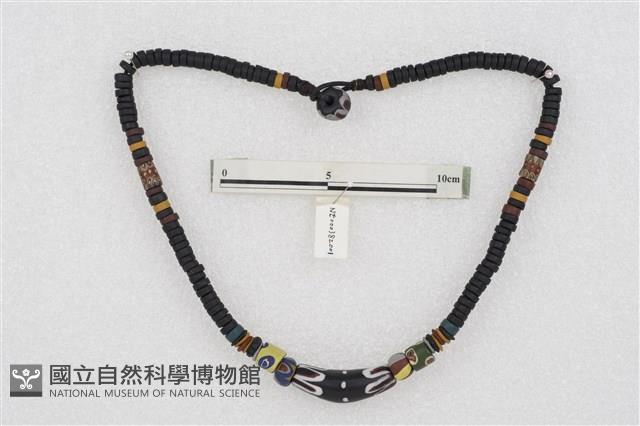 Accession Number:NE000382001 Collection Image, Figure 1, Total 2 Figures