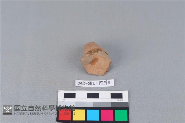 陶蓋鈕藏品圖，第3張