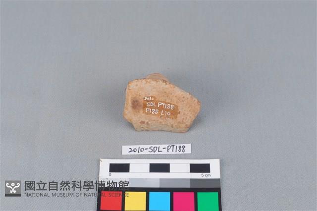 陶蓋鈕藏品圖，第3張