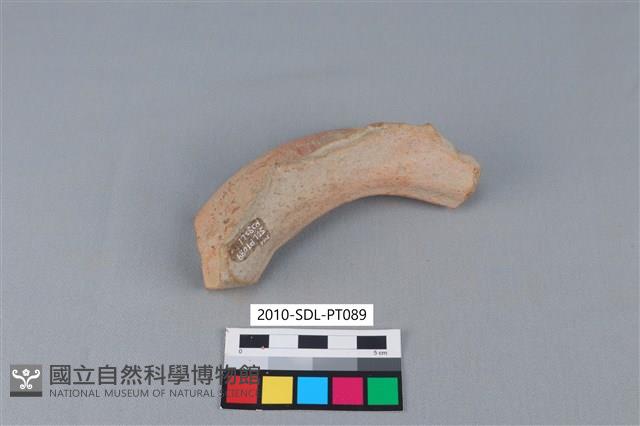 陶罐藏品圖，第3張