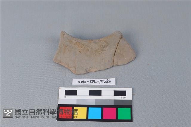 連杯形器藏品圖，第1張