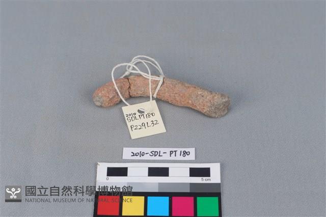 陶把藏品圖，第1張