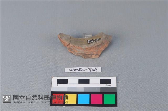 連杯形器藏品圖，第1張