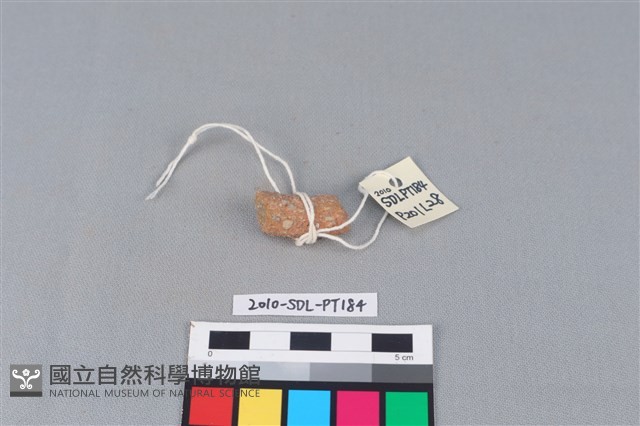 陶把藏品圖，第1張