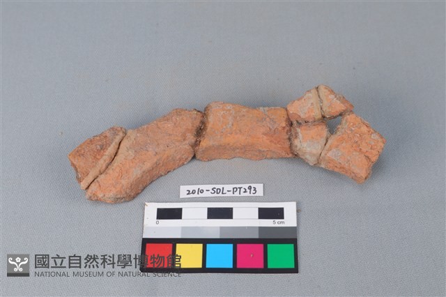 連杯形器藏品圖，第1張