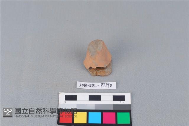 陶蓋鈕藏品圖，第1張