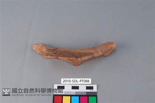 陶罐藏品圖，第1張