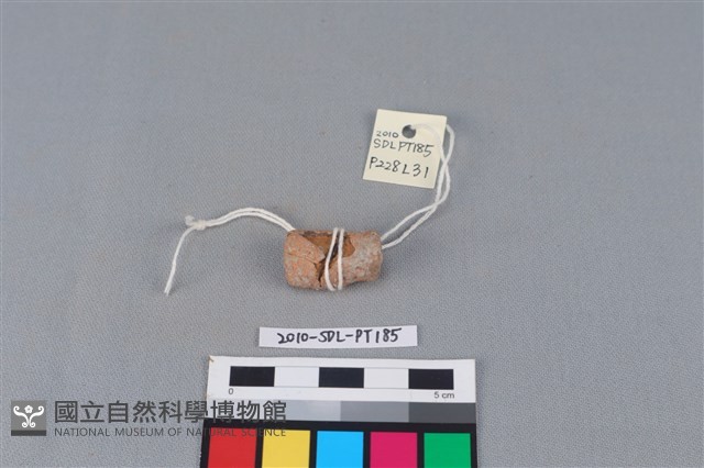 陶把藏品圖，第1張