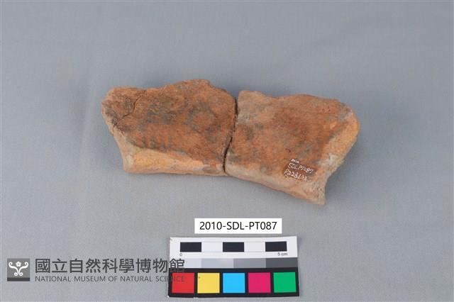 陶罐藏品圖，第1張