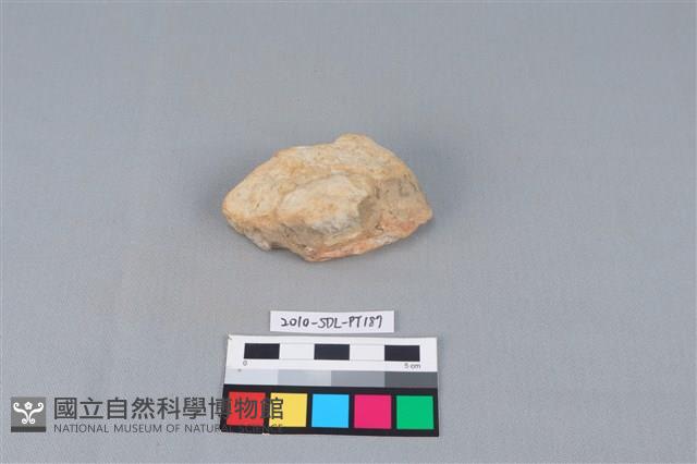 陶蓋鈕藏品圖，第1張