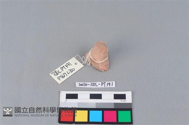 陶蓋鈕藏品圖，第1張