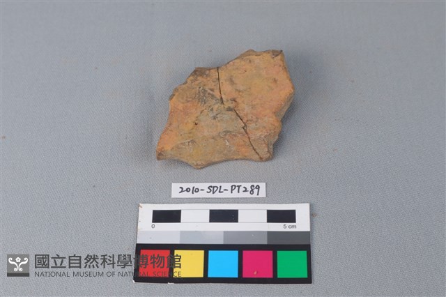 連杯形器藏品圖，第1張