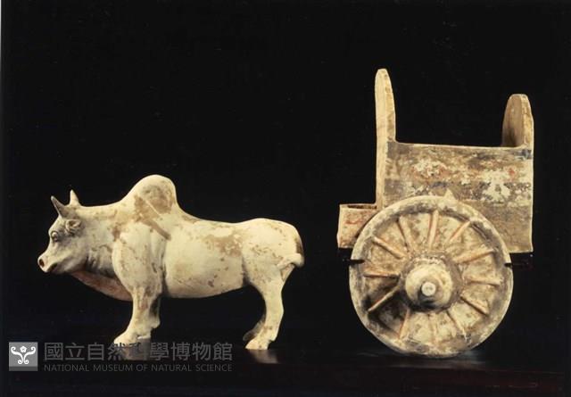 加彩牛車-牛藏品圖，第1張