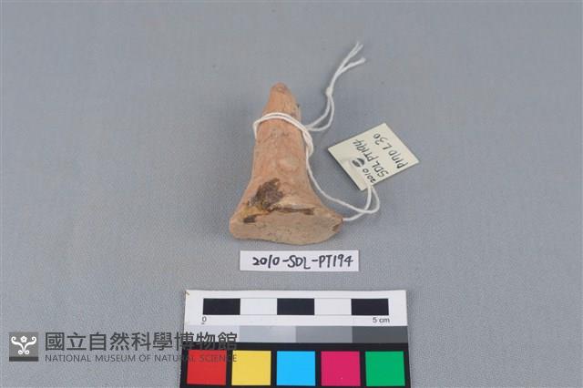 陶蓋鈕藏品圖，第2張