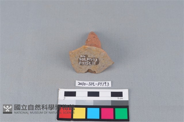 陶蓋鈕藏品圖，第2張