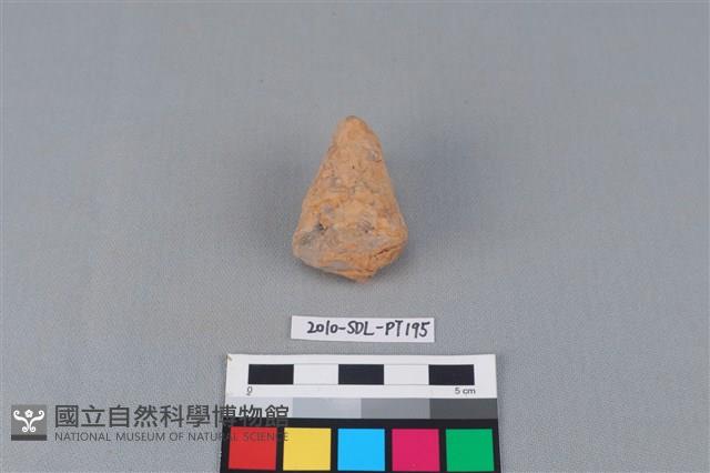 陶蓋鈕藏品圖，第2張