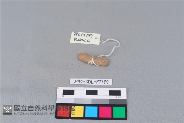 陶環藏品圖，第2張