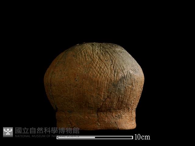 陶罐藏品圖，第6張