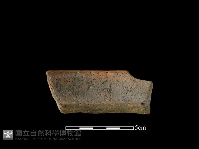 陶罐藏品圖，第2張