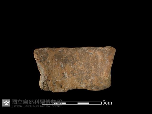 陶罐藏品圖，第2張