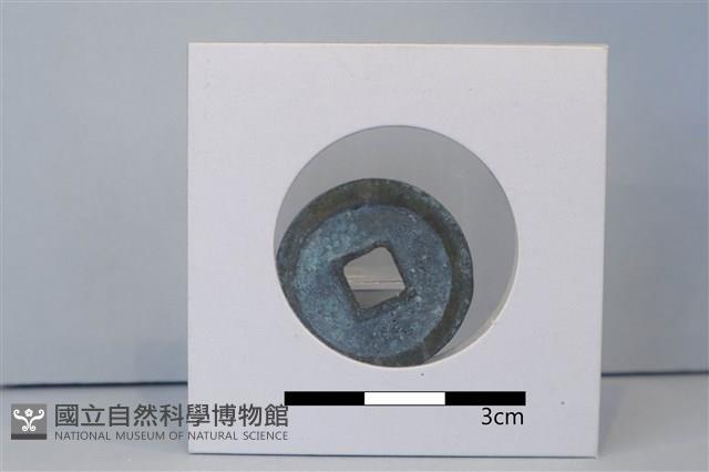 Accession Number:AA200505020 Collection Image, Figure 2, Total 2 Figures