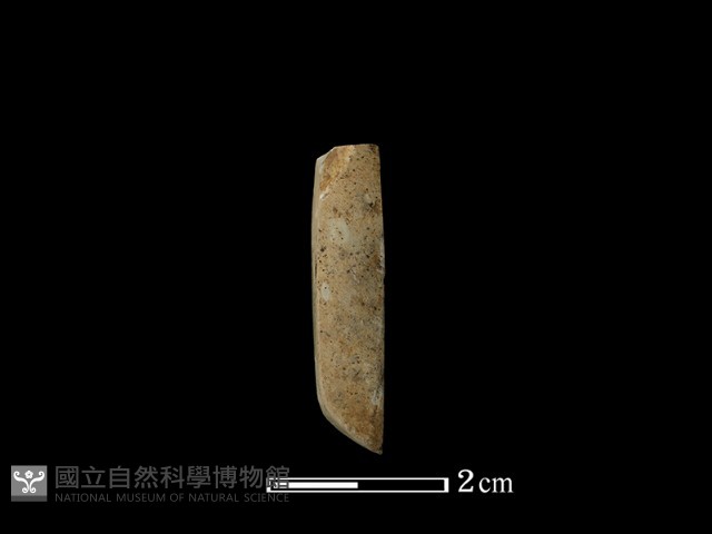 錛鑿形器藏品圖，第2張