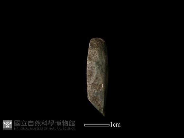 錛鑿形器藏品圖，第2張