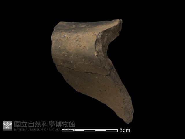 陶罐藏品圖，第1張