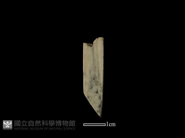 錛鑿形器藏品圖，第3張